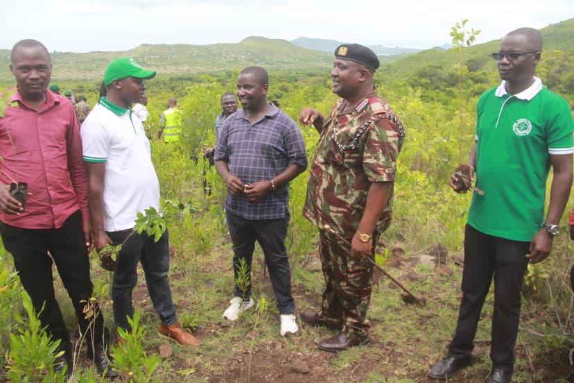 Tree Planting Campaigns